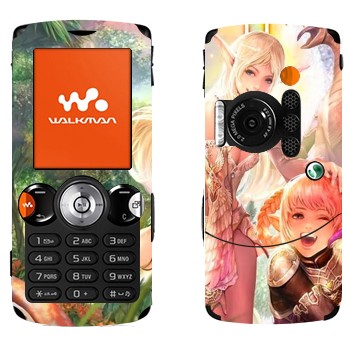 Sony Ericsson W810i