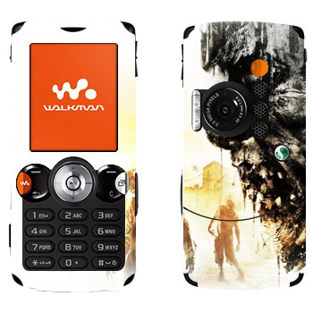 Sony Ericsson W810i