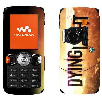 Sony Ericsson W810i