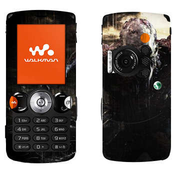 Sony Ericsson W810i