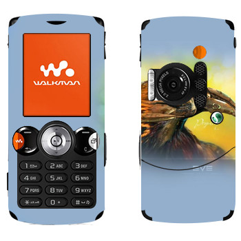 Sony Ericsson W810i