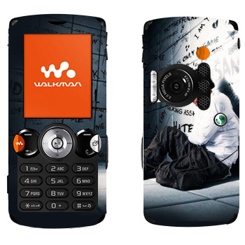 Sony Ericsson W810i