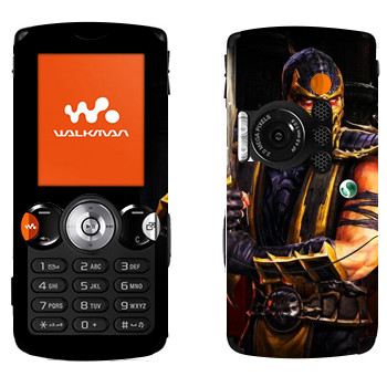 Sony Ericsson W810i