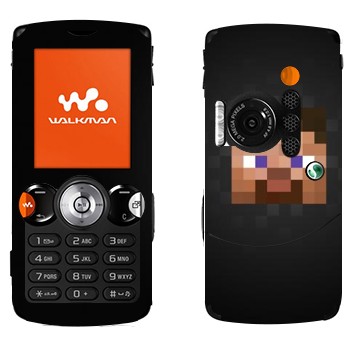 Sony Ericsson W810i