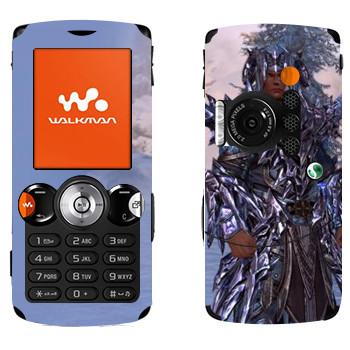 Sony Ericsson W810i