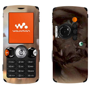 Sony Ericsson W810i