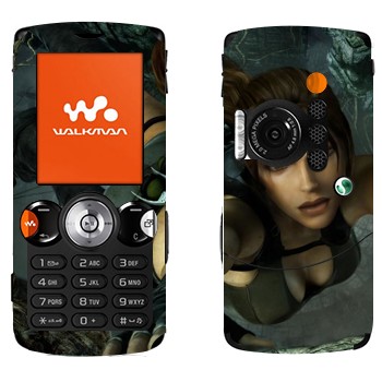   « »   Sony Ericsson W810i