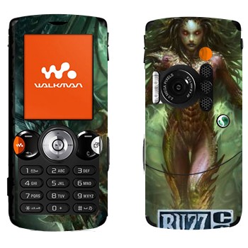   «  - StarCraft II:  »   Sony Ericsson W810i