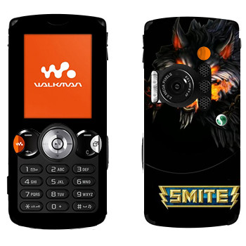 Sony Ericsson W810i