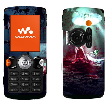 Sony Ericsson W810i