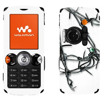 Sony Ericsson W810i