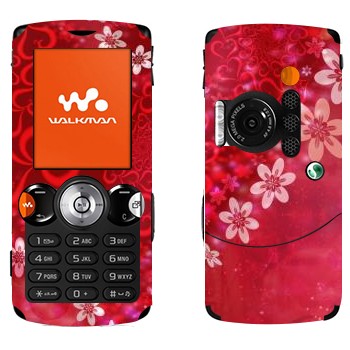 Sony Ericsson W810i