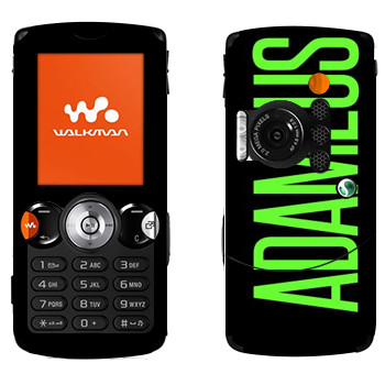   «Adameus»   Sony Ericsson W810i