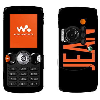 Sony Ericsson W810i