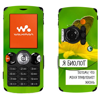 Sony Ericsson W810i