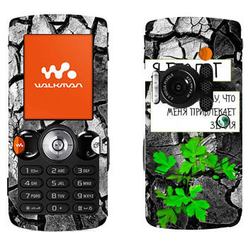   « »   Sony Ericsson W810i