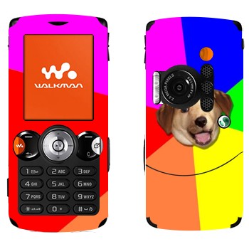   «Advice Dog»   Sony Ericsson W810i