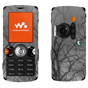   «»   Sony Ericsson W810i