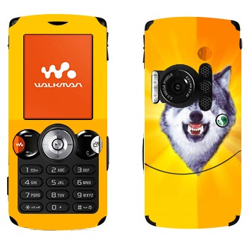   « »   Sony Ericsson W810i