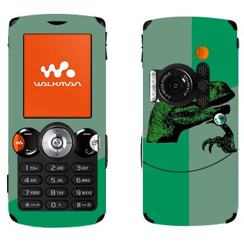   «  »   Sony Ericsson W810i