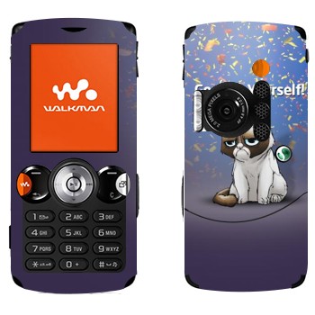   « »   Sony Ericsson W810i