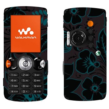   «  »   Sony Ericsson W810i