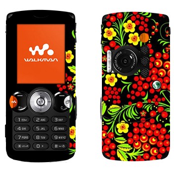 Sony Ericsson W810i