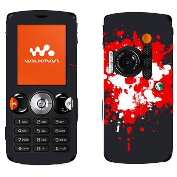   «  »   Sony Ericsson W810i