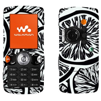   «- »   Sony Ericsson W810i