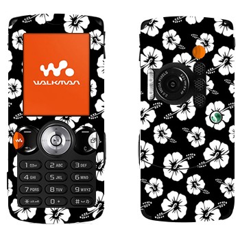   «  -»   Sony Ericsson W810i