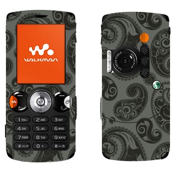   «  -»   Sony Ericsson W810i