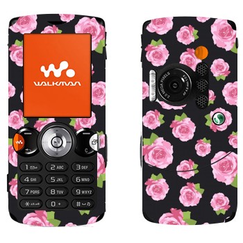   «  »   Sony Ericsson W810i