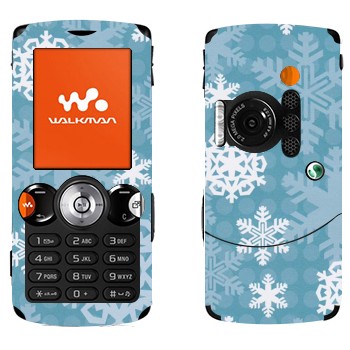   «»   Sony Ericsson W810i