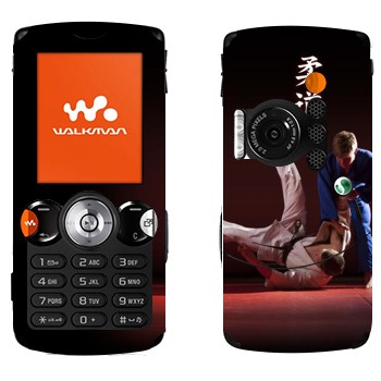 Sony Ericsson W810i