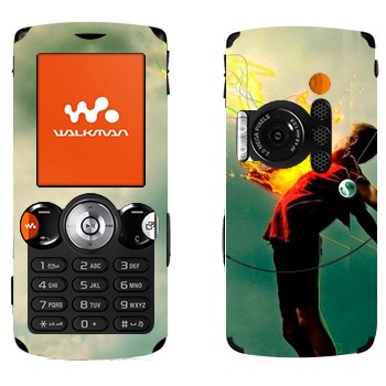   «  »   Sony Ericsson W810i