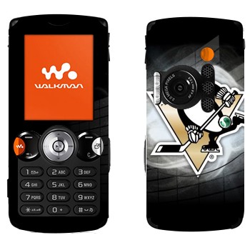   « »   Sony Ericsson W810i