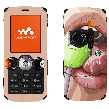   « »   Sony Ericsson W810i