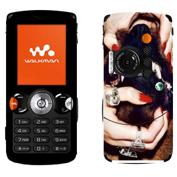 Sony Ericsson W810i