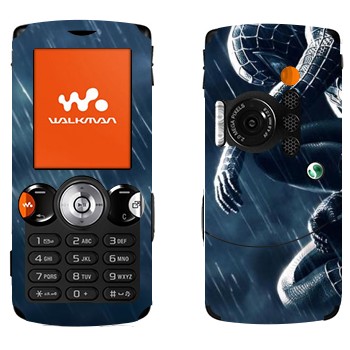 Sony Ericsson W810i