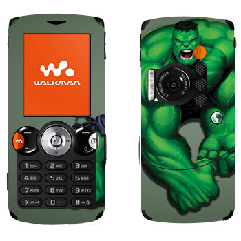   «»   Sony Ericsson W810i