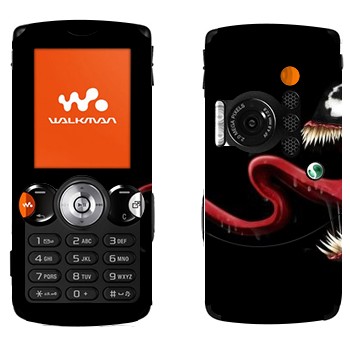 Sony Ericsson W810i