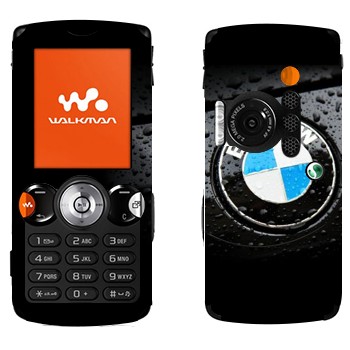 Sony Ericsson W810i