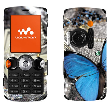   «   »   Sony Ericsson W810i