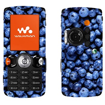   «»   Sony Ericsson W810i