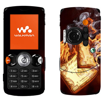   «  »   Sony Ericsson W810i