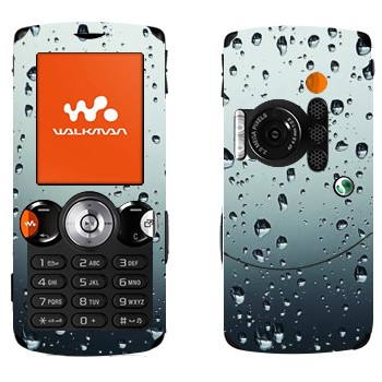 Sony Ericsson W810i