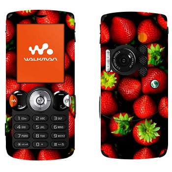 Sony Ericsson W810i