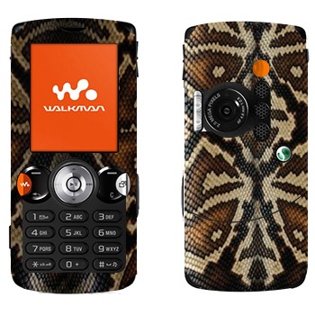   « »   Sony Ericsson W810i