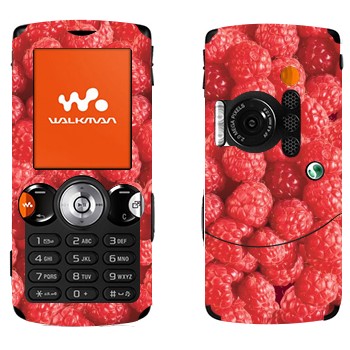 Sony Ericsson W810i