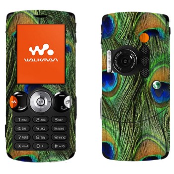   « »   Sony Ericsson W810i